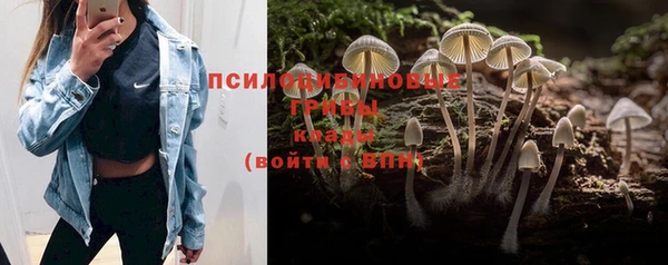 спайс Алексин