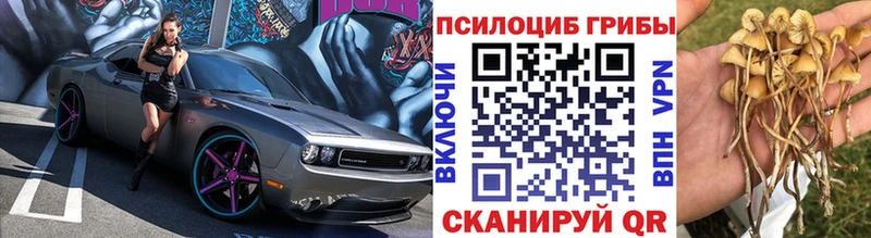 Псилоцибиновые грибы Psilocybine cubensis  Учалы 